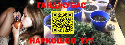прущие грибы Аргун