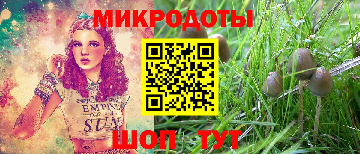 Псилоцибиновые грибы GOLDEN TEACHER  Вход с VPN  Ачинск 